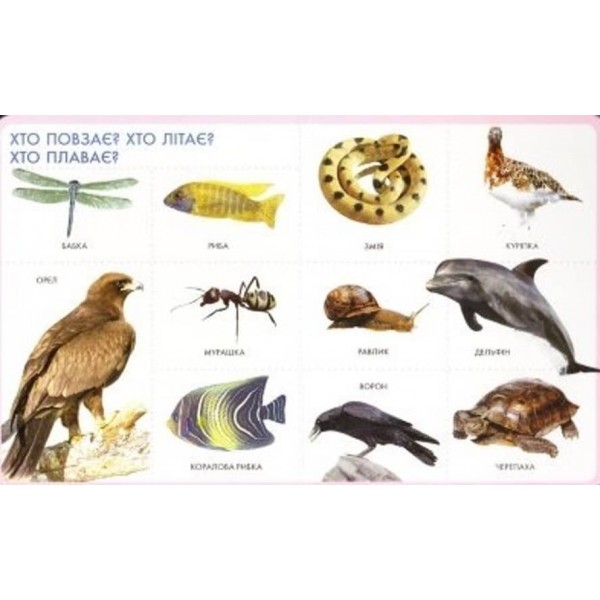 Моя перша книжка. Тварини (українською мовою)