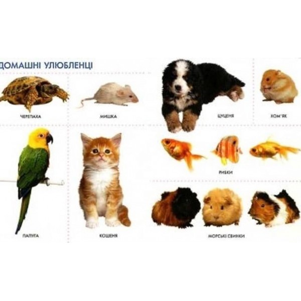 Моя перша книжка. Тварини (українською мовою)