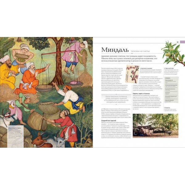 Історія їжі. Подарункова (російською мовою)