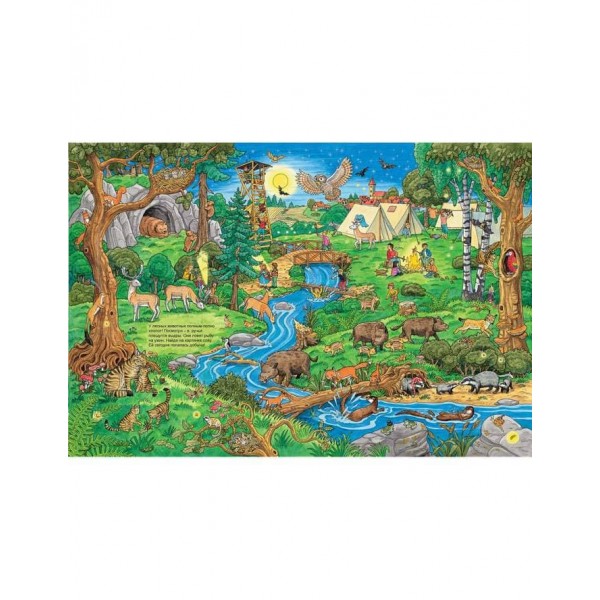 Життя тварин. Віммельбух (російською мовою)