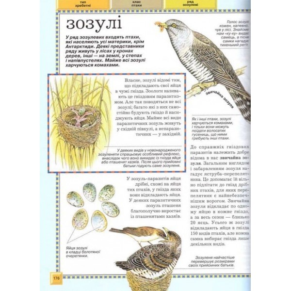 Велика енциклопедія тварин (дві обкладинки) (українською мовою)