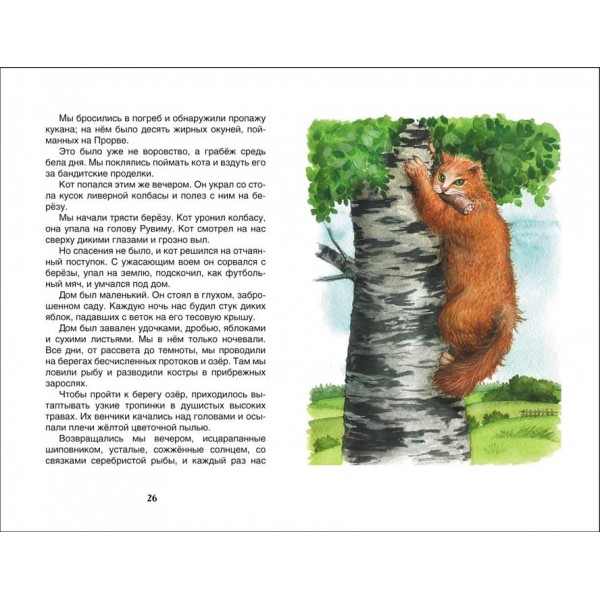 Костянтин Паустовський. Борсуковий ніс. Оповідання та казки (російською мовою)