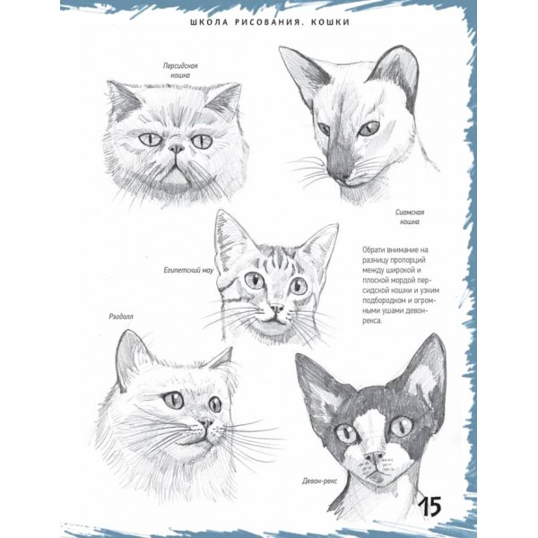 Школа малювання. Кішки (російською мовою) (м'яка обкладинка)