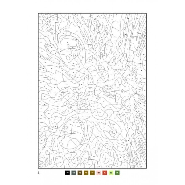 50 магічних фарбованок. ЗооСвіт