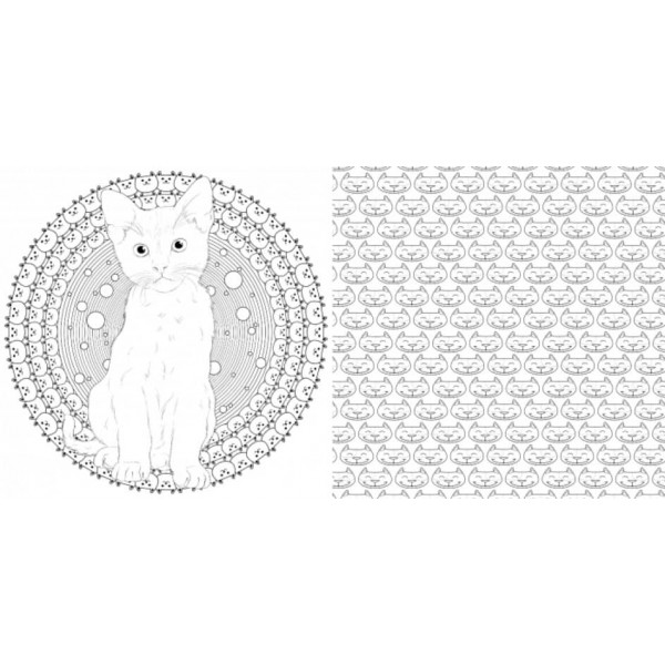 Арт-квадрат. Кошенята