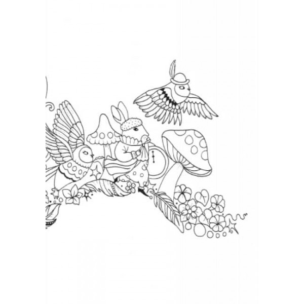 Майже мільйон сов