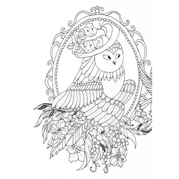 Майже мільйон сов