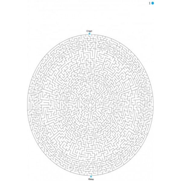 Екстремальні лабіринти