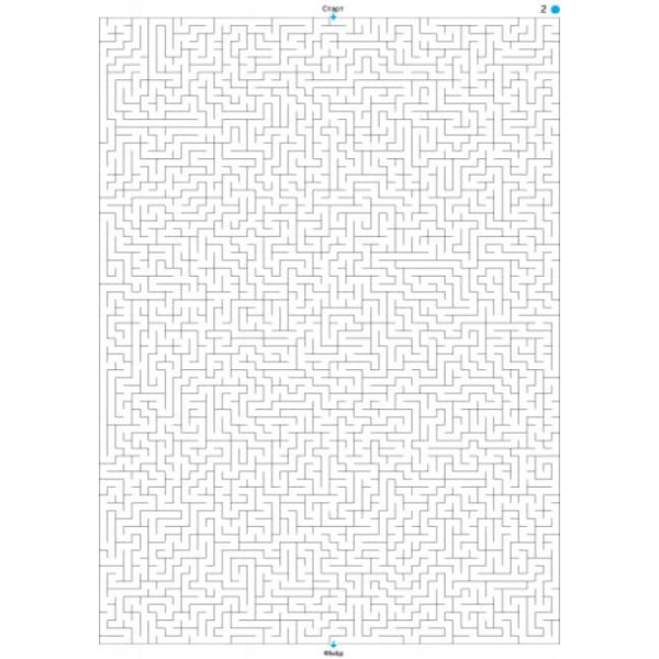 Екстремальні лабіринти