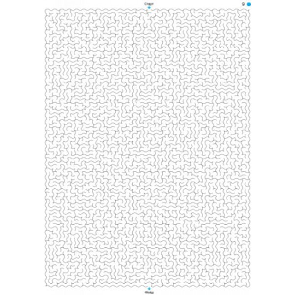 Екстремальні лабіринти