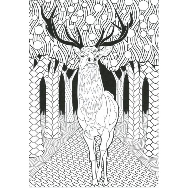 Супернова суперова розмальовка