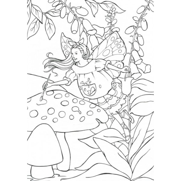 У світі чарівних фей