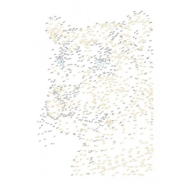 Від точки до точки. Світ тварин