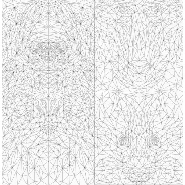 Трианімалз. Дикі тварини