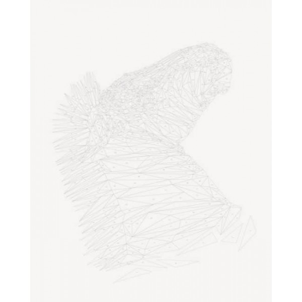 Зоометрія. Дикі тварини