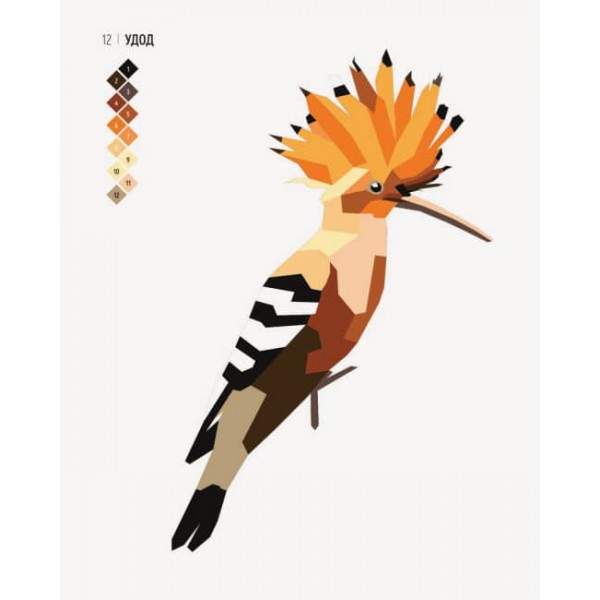 Зоометрія. Дивовижні птахи