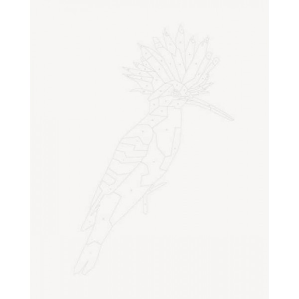 Зоометрія. Дивовижні птахи