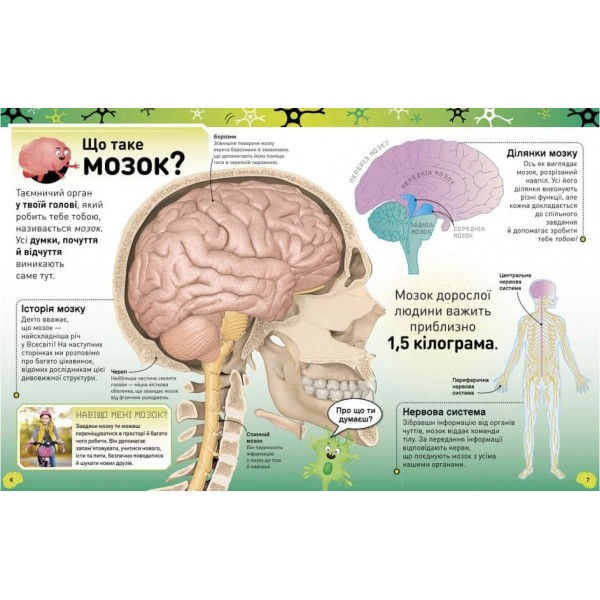 Карколомний мозок. Імпульсивні нейрони, мінливі синапси, хвостаті аксони (українською мовою)