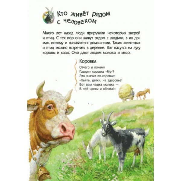 Тварини. Енциклопедія дошкільника (російською мовою)