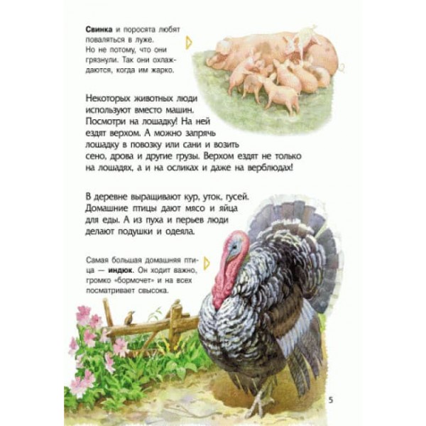 Тварини. Енциклопедія дошкільника (російською мовою)