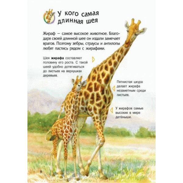 Тварини. Енциклопедія дошкільника (російською мовою)