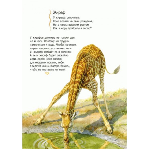 Тварини. Енциклопедія дошкільника (російською мовою)