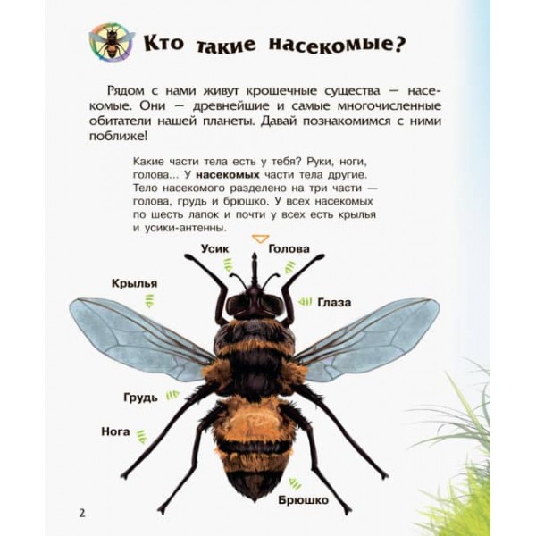 Комахи. Енциклопедія дошкільника (російською мовою)