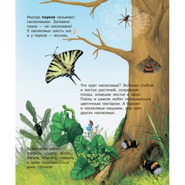 Комахи. Енциклопедія дошкільника (російською мовою)