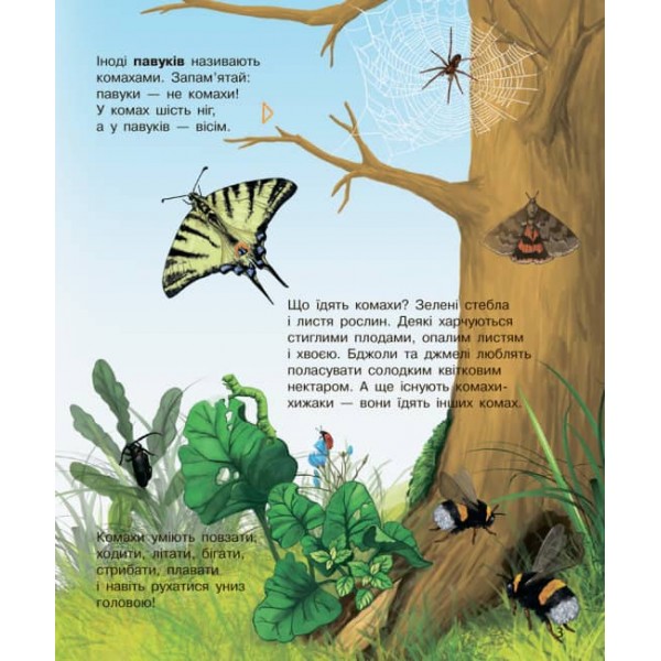 Комахи. Енциклопедія дошкільника (українською мовою)