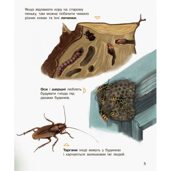 Комахи. Енциклопедія дошкільника (українською мовою)