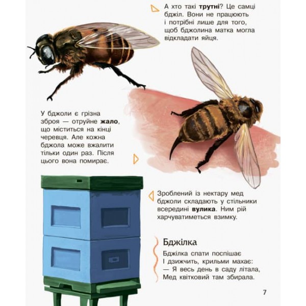 Комахи. Енциклопедія дошкільника (українською мовою)