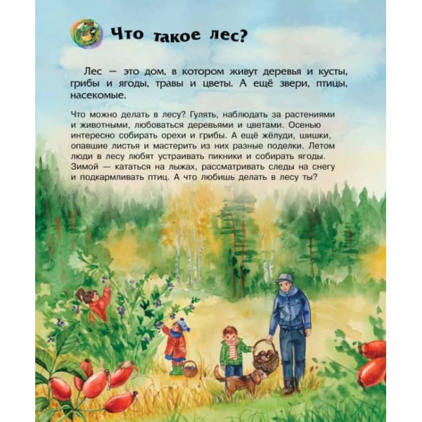 Ліс. Енциклопедія дошкільника (російською мовою)