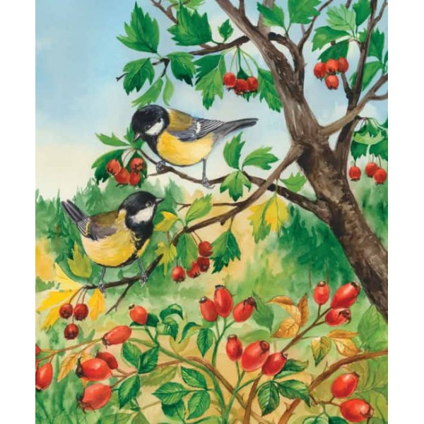 Ліс. Енциклопедія дошкільника (російською мовою)