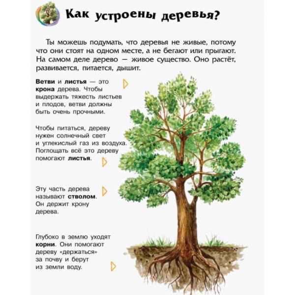 Ліс. Енциклопедія дошкільника (російською мовою)