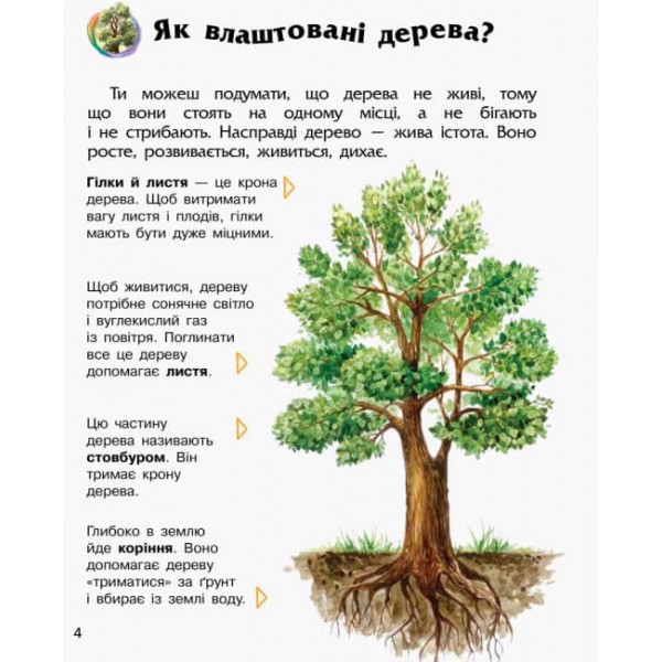 Ліс. Енциклопедія дошкільника (українською мовою)