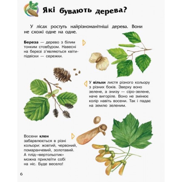 Ліс. Енциклопедія дошкільника (українською мовою)