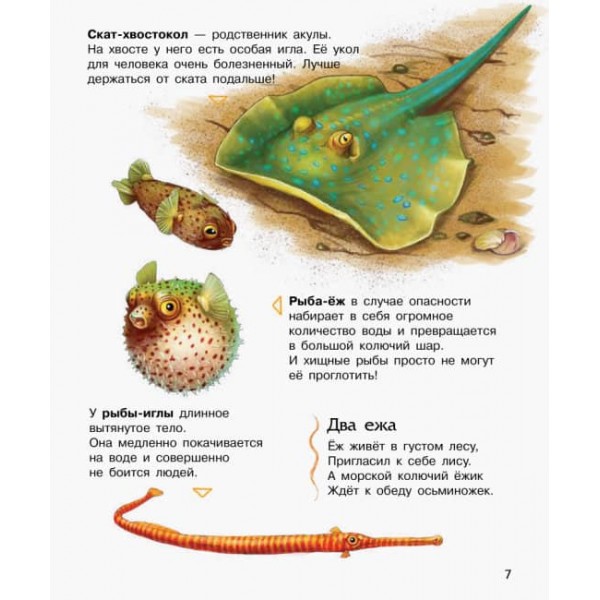 Океани та моря. Енциклопедія дошкільника (російською мовою)