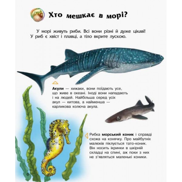 Океани та моря. Енциклопедія дошкільника (українською мовою)