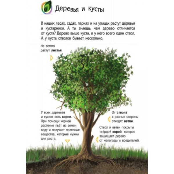 Природа. Енциклопедія дошкільника (російською мовою)