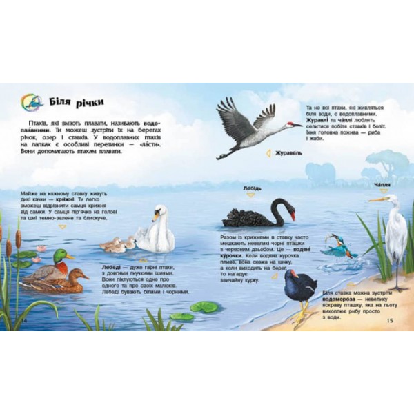Птахи. Енциклопедія дошкільника (українською мовою)