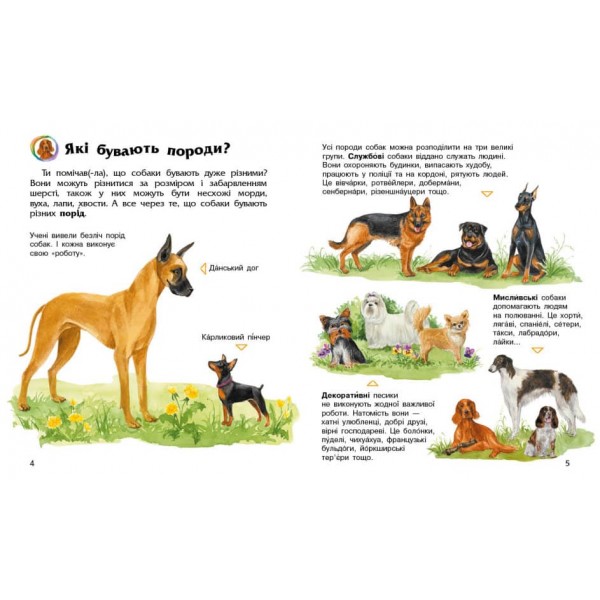 Собаки. Енциклопедія дошкільника (українською мовою)