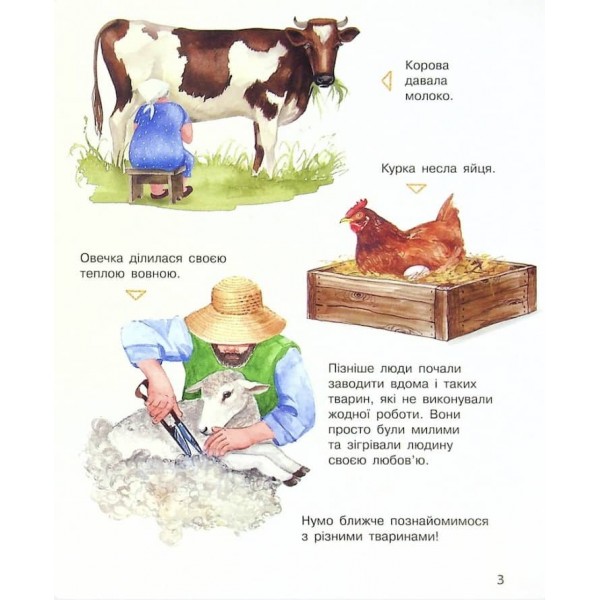 Свійські тварини. Енциклопедія дошкільника. 