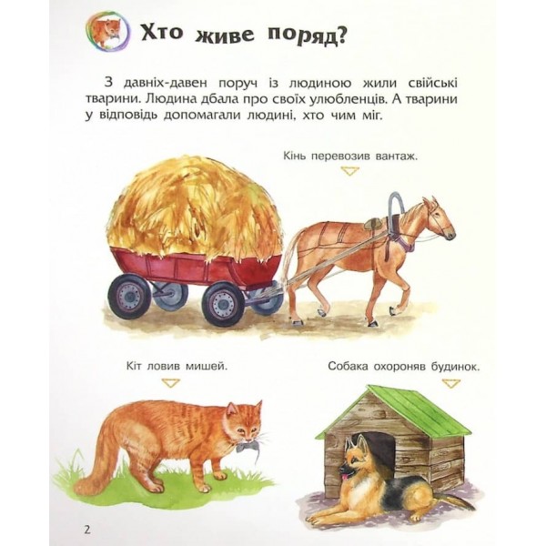 Свійські тварини. Енциклопедія дошкільника. 