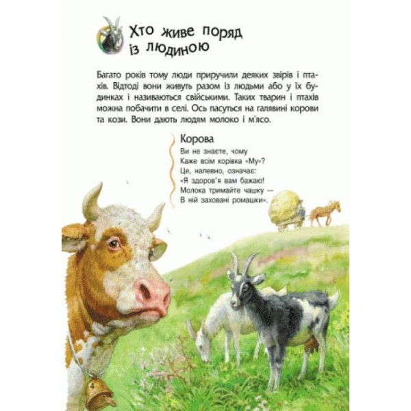 Тварини. Енциклопедія дошкільника (українською мовою)