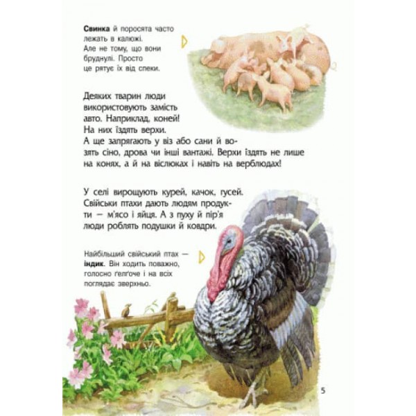Тварини. Енциклопедія дошкільника (українською мовою)