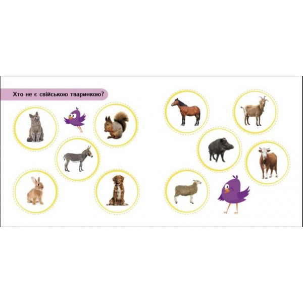 Міркування. Сховай зайве (українською мовою)