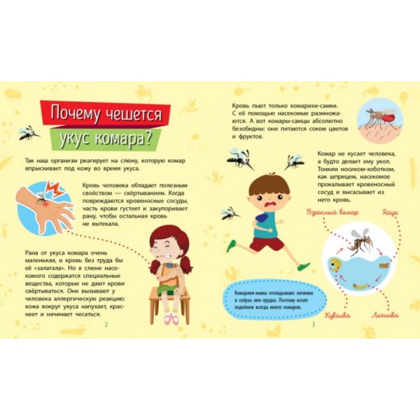 Комахи. Чомусики (російською мовою)