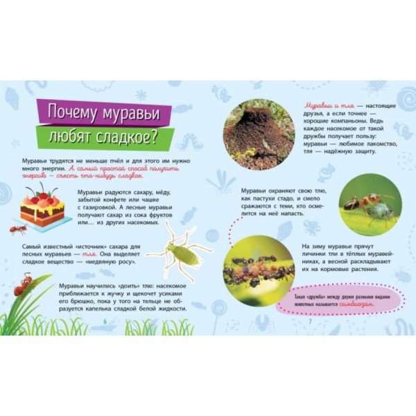 Комахи. Чомусики (російською мовою)