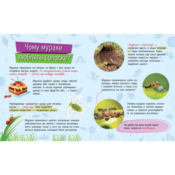 Комахи. Чомусики (українською мовою)