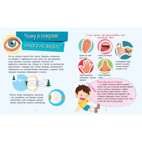 Людина. Чомусики (українською мовою)